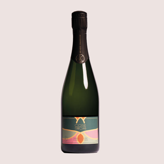CHAMPAGNER BRUT COSE SPECIALI