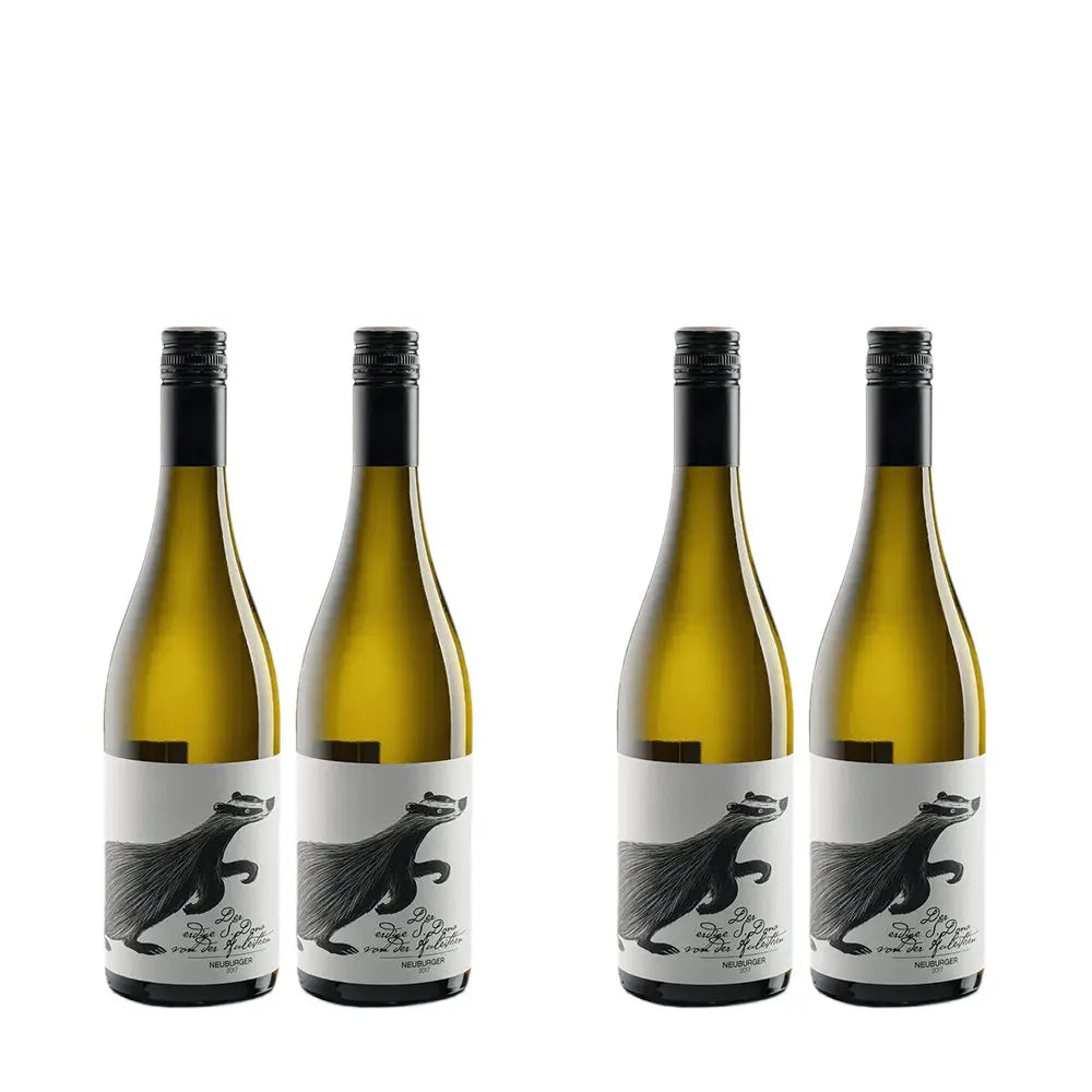 DACHS NEUBURGER | Vini bianchi | COSE SPECIALI